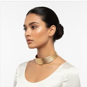 Gold Tone Rings Detailed Choker Necklace w/ Chain - Bold Statement Piece NWT!